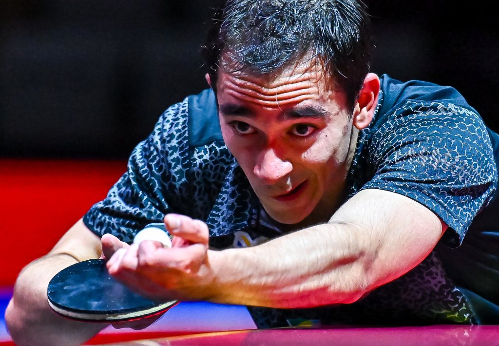 万欧元标价 万欧元标价